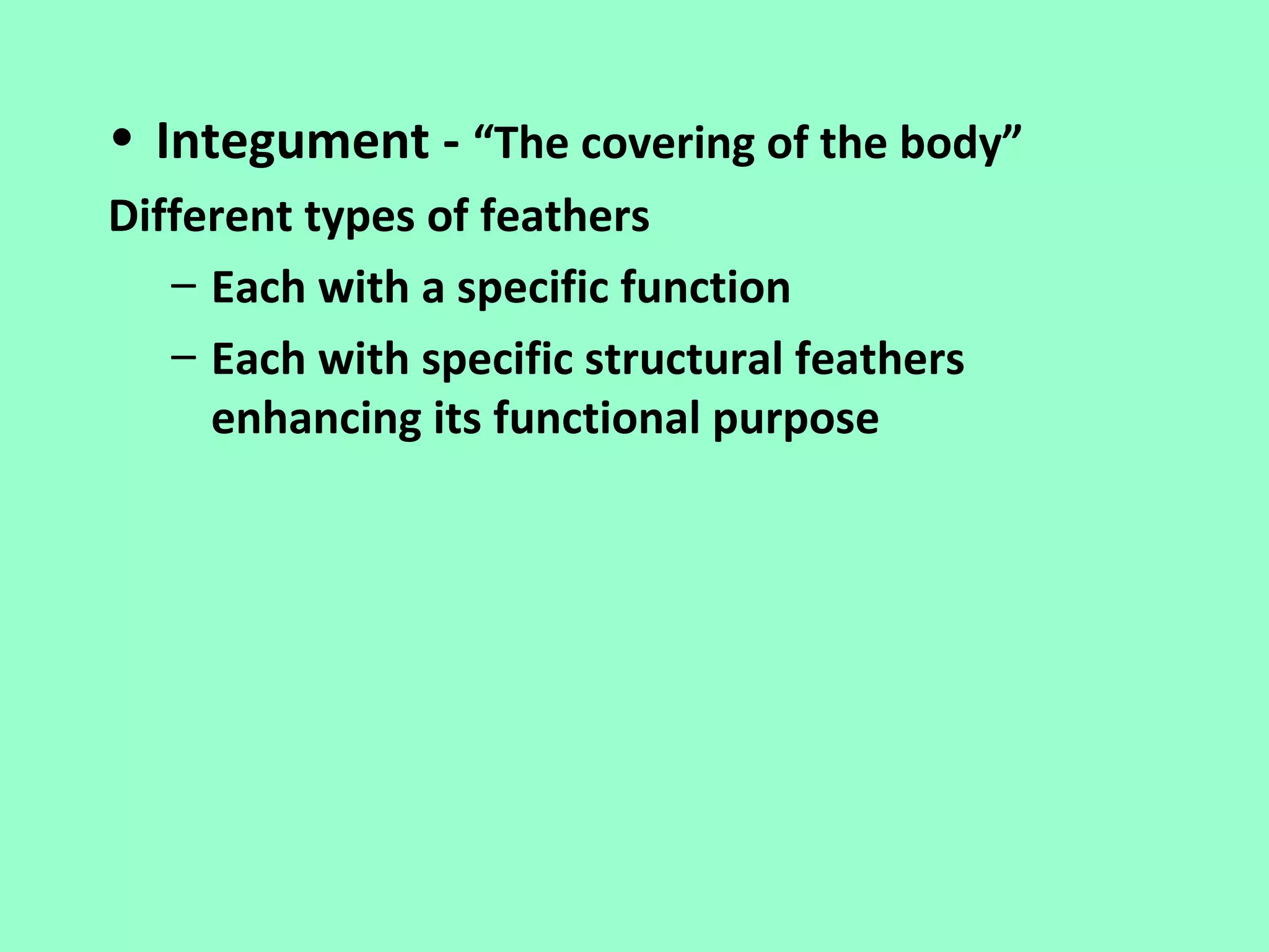 • Integument - “The covering of the body”
Different types of feathers
   – Each with a specific function
   – Each with specific structural feathers
     enhancing its functional purpose
 