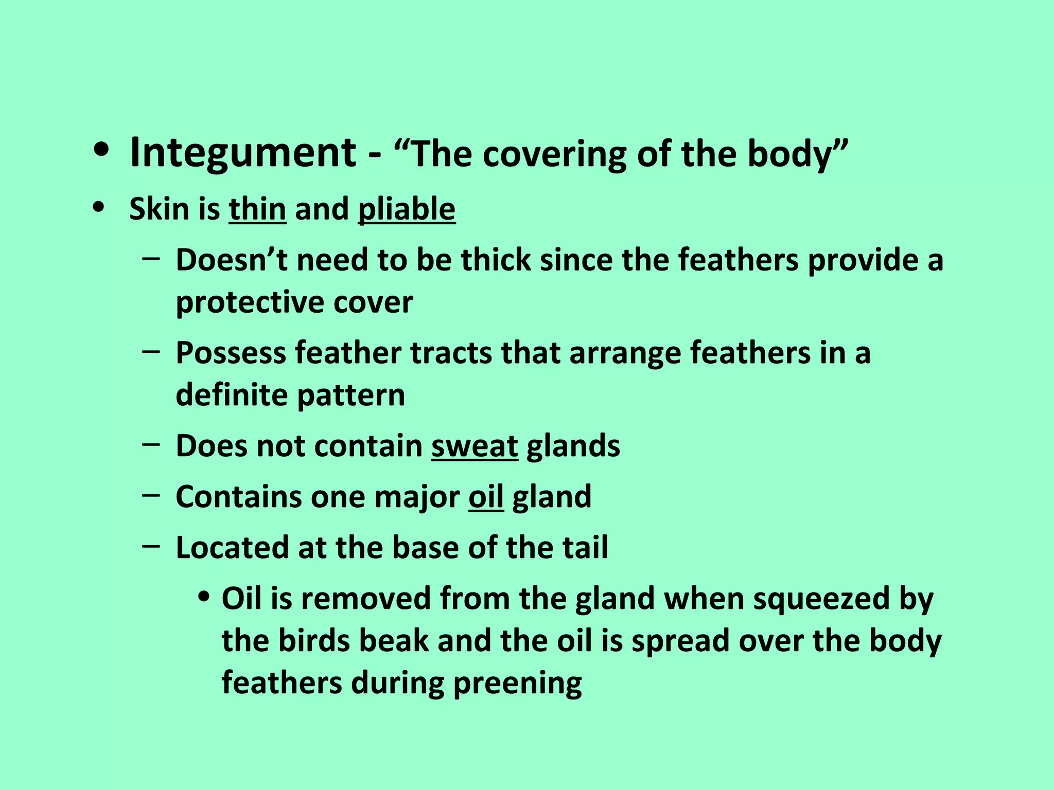 • Integument - “The covering of the body”
• Skin is thin and pliable
   – Doesn’t need to be thick since the feathers provide a
     protective cover
   – Possess feather tracts that arrange feathers in a
     definite pattern
   – Does not contain sweat glands
   – Contains one major oil gland
   – Located at the base of the tail
       • Oil is removed from the gland when squeezed by
         the birds beak and the oil is spread over the body
         feathers during preening
 