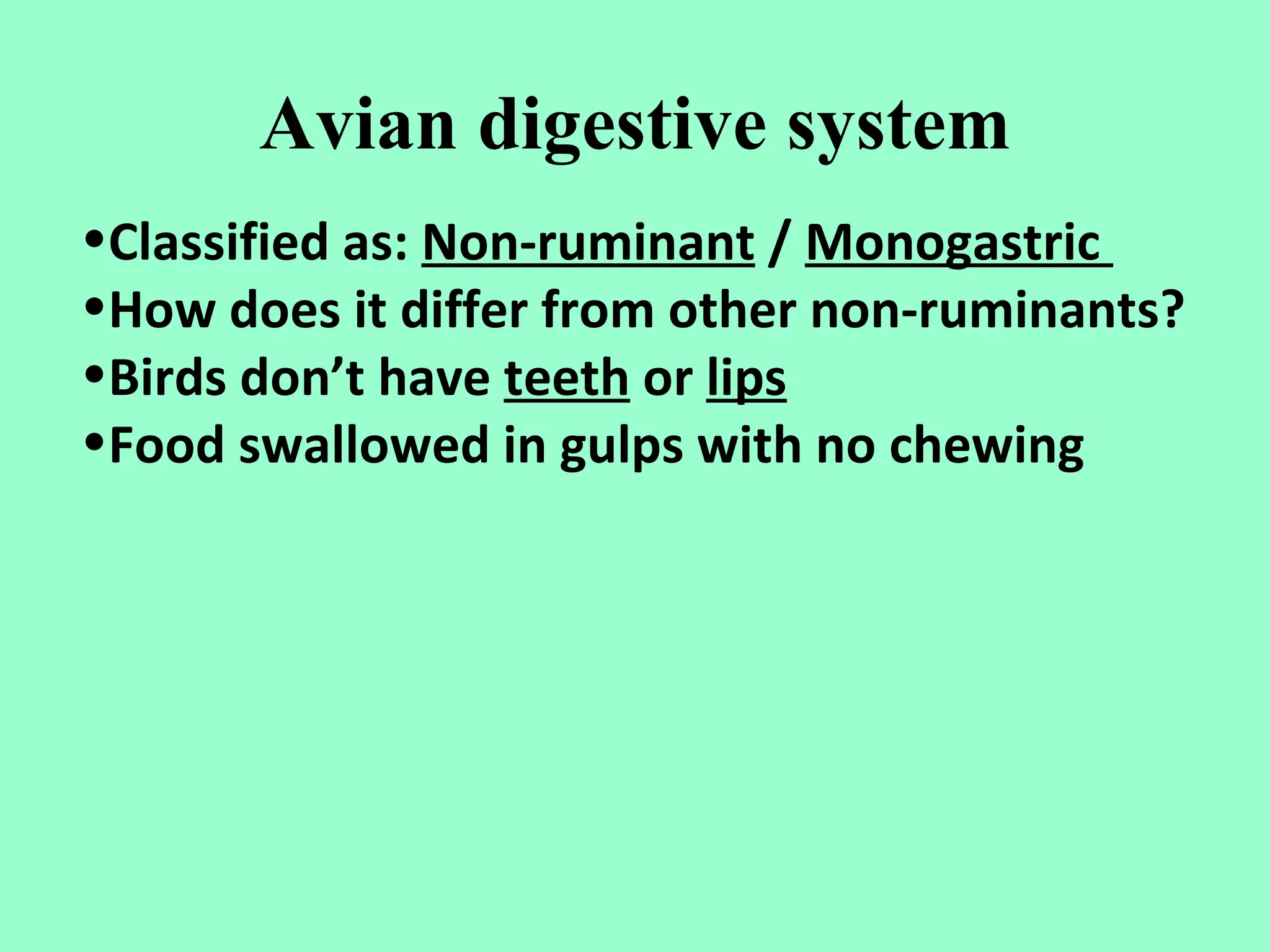 Avian digestive system
•Classified as: Non-ruminant / Monogastric
•How does it differ from other non-ruminants?
•Birds don’t have teeth or lips
•Food swallowed in gulps with no chewing
 