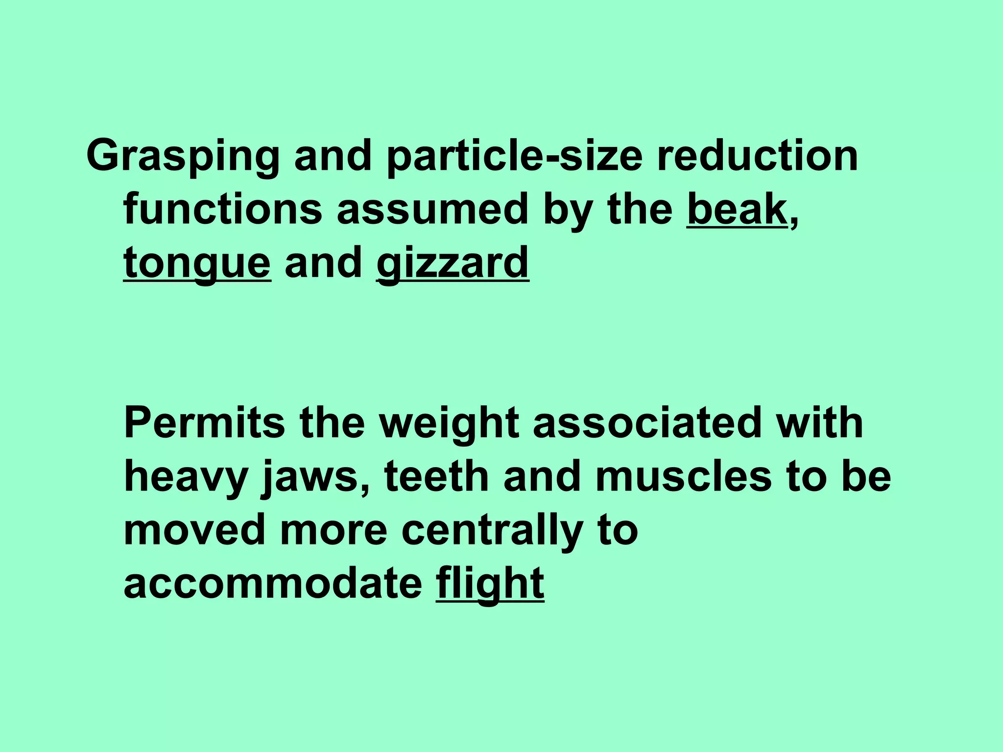 Grasping and particle-size reduction
 functions assumed by the beak,
 tongue and gizzard


 Permits the weight associated with
 heavy jaws, teeth and muscles to be
 moved more centrally to
 accommodate flight
 
