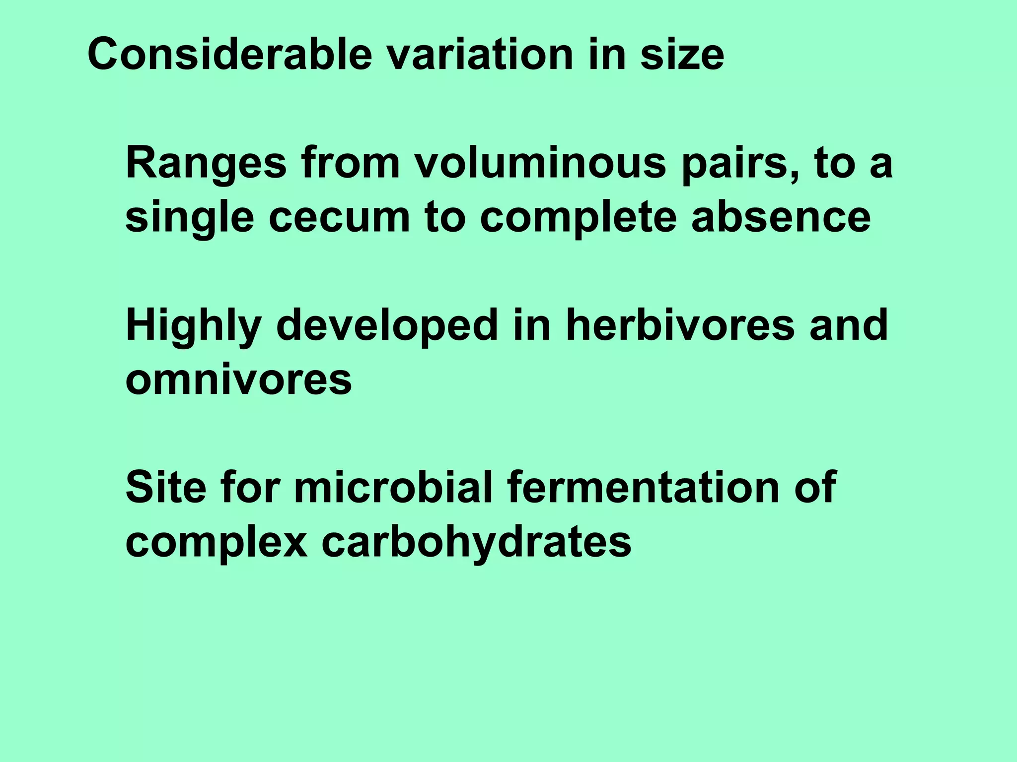 Considerable variation in size

 Ranges from voluminous pairs, to a
 single cecum to complete absence

 Highly developed in herbivores and
 omnivores

 Site for microbial fermentation of
 complex carbohydrates
 
