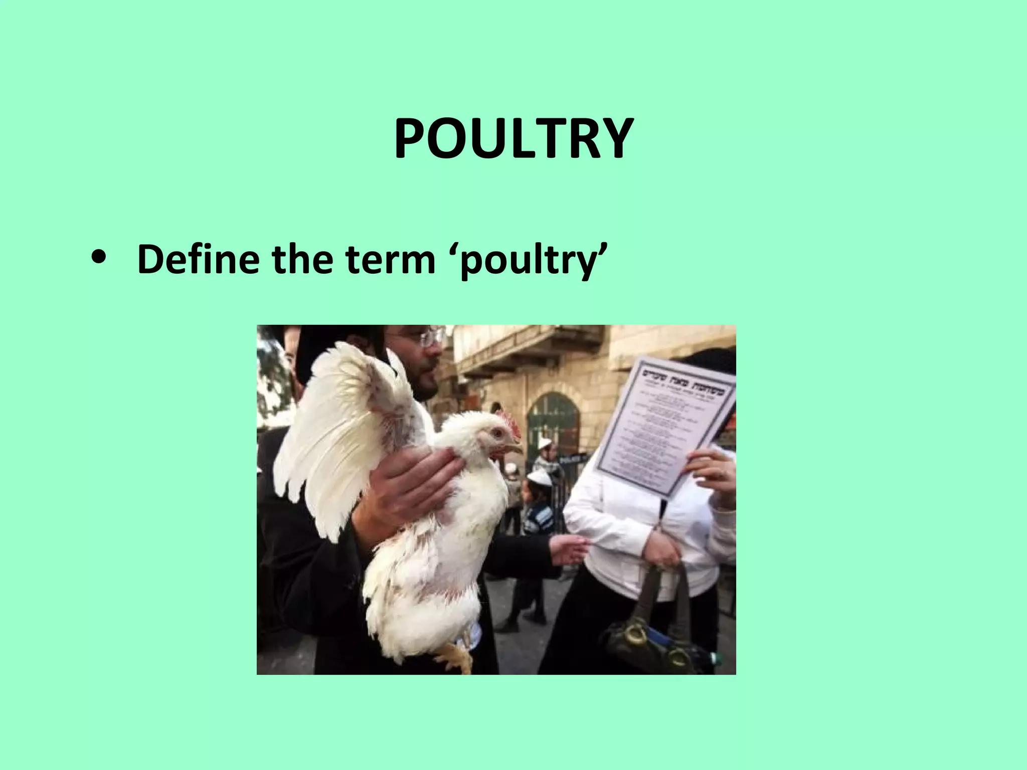 POULTRY
• Define the term ‘poultry’
 