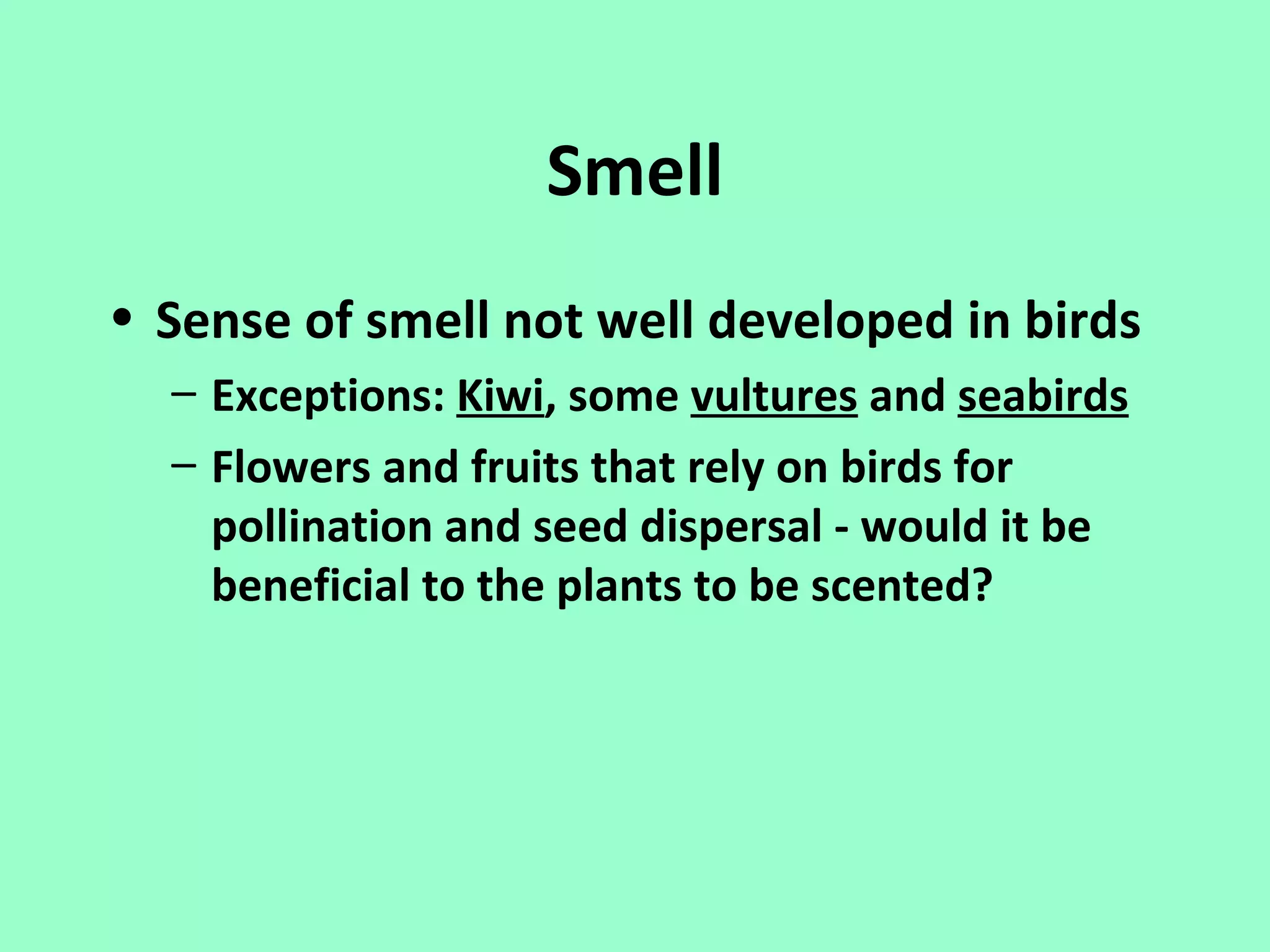 Smell
• Sense of smell not well developed in birds
  – Exceptions: Kiwi, some vultures and seabirds
  – Flowers and fruits that rely on birds for
    pollination and seed dispersal - would it be
    beneficial to the plants to be scented?
 