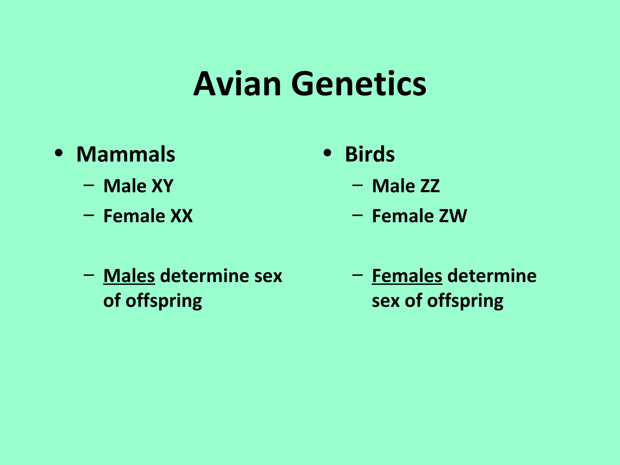 Avian Genetics
• Mammals                 • Birds
  – Male XY                 – Male ZZ
  – Female XX               – Female ZW

  – Males determine sex     – Females determine
    of offspring              sex of offspring
 