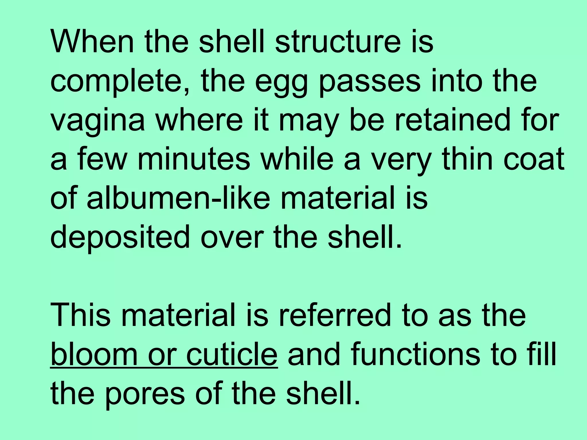 When the shell structure is
complete, the egg passes into the
vagina where it may be retained for
a few minutes while a very thin coat
of albumen-like material is
deposited over the shell.

This material is referred to as the
bloom or cuticle and functions to fill
the pores of the shell.
 