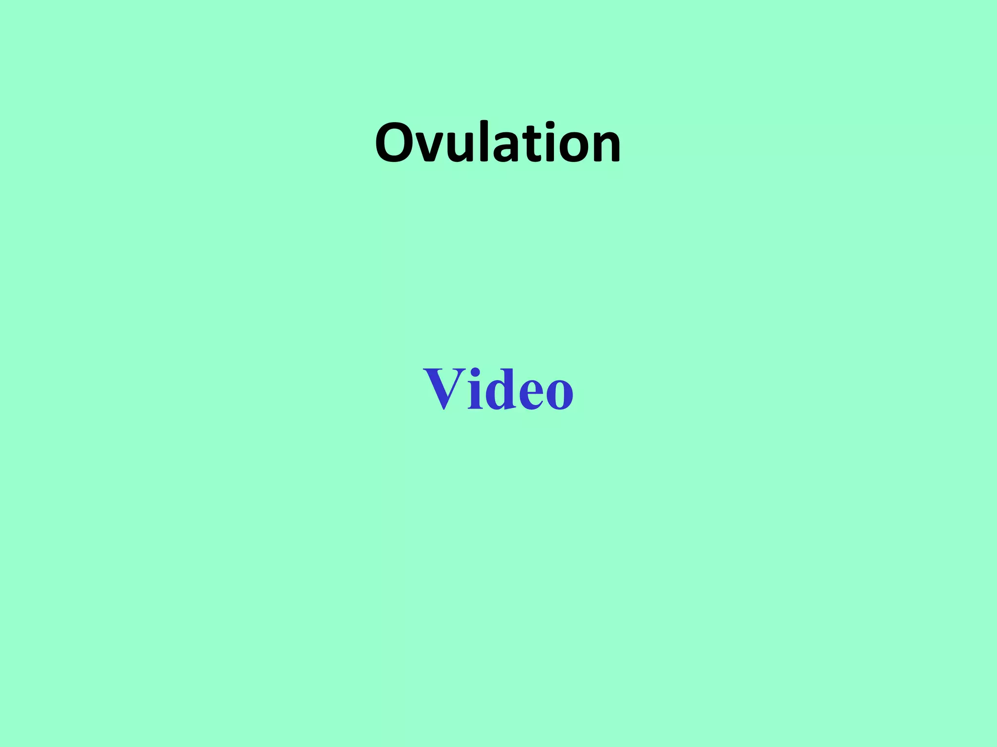 Ovulation



 Video
 