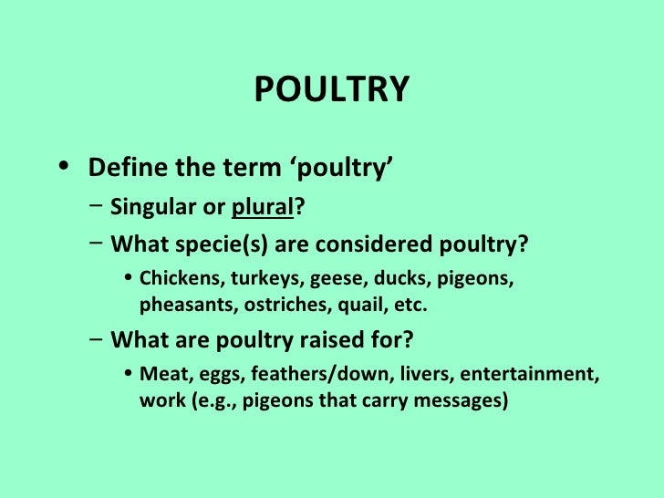 Poultry1 2010