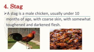 4. Stag
A stag is a male chicken, usually under 10
months of age, with coarse skin, with somewhat
toughened and darkened ...
