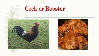 Cock or Rooster
 