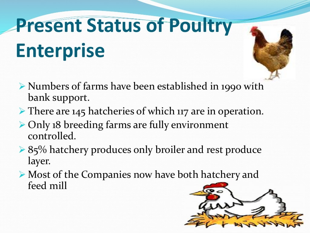 Poultry and nutrition in bangladesh