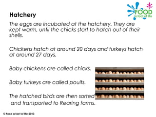 Poultry basics | PPT