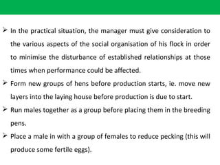  In the practical situation, the manager must give consideration to
the various aspects of the social organisation of his flock in order
to minimise the disturbance of established relationships at those
times when performance could be affected.
 Form new groups of hens before production starts, ie. move new
layers into the laying house before production is due to start.
 Run males together as a group before placing them in the breeding
pens.
 Place a male in with a group of females to reduce pecking (this will
produce some fertile eggs).
 