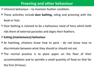 Preening and other behaviour
Inherent behaviour – to maintain feather condition.
These activities include dust bathing, oiling and preening with the
beak or foot.
Dust bathing is claimed to be a behaviour need of hens which both
rids them of external parasites and aligns their feathers.
Eating (maintenance) behaviour
At hatching, chickens know how to peck - do not know how to
discriminate between what they should or should not eat.
The normal practice is to place paper on the floor of their
accommodation and to sprinkle a small quantity of food on that for
the first 24 hours.
 