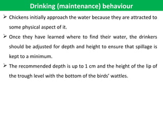Drinking (maintenance) behaviour
 Chickens initially approach the water because they are attracted to
some physical aspect of it.
 Once they have learned where to find their water, the drinkers
should be adjusted for depth and height to ensure that spillage is
kept to a minimum.
 The recommended depth is up to 1 cm and the height of the lip of
the trough level with the bottom of the birds’ wattles.
 