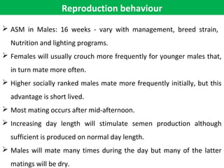 Reproduction behaviour
 ASM in Males: 16 weeks - vary with management, breed strain,
Nutrition and lighting programs.
 Females will usually crouch more frequently for younger males that,
in turn mate more often.
 Higher socially ranked males mate more frequently initially, but this
advantage is short lived.
 Most mating occurs after mid-afternoon.
 Increasing day length will stimulate semen production although
sufficient is produced on normal day length.
 Males will mate many times during the day but many of the latter
matings will be dry.
 