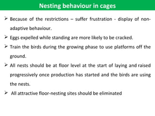 Nesting behaviour in cages
 Because of the restrictions – suffer frustration - display of non-
adaptive behaviour.
 Eggs expelled while standing are more likely to be cracked.
 Train the birds during the growing phase to use platforms off the
ground.
 All nests should be at floor level at the start of laying and raised
progressively once production has started and the birds are using
the nests.
 All attractive floor-nesting sites should be eliminated
 