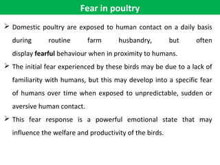 Fear in poultry
 Domestic poultry are exposed to human contact on a daily basis
during routine farm husbandry, but often
display fearful behaviour when in proximity to humans.
 The initial fear experienced by these birds may be due to a lack of
familiarity with humans, but this may develop into a specific fear
of humans over time when exposed to unpredictable, sudden or
aversive human contact.
 This fear response is a powerful emotional state that may
influence the welfare and productivity of the birds.
 