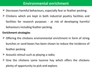 Environmental enrichment
 Decreases harmful behaviours, especially fear or feather pecking.
 Chickens which are kept in both industrial poultry facilities and
facilities for research purposes - at risk of developing harmful
behaviours including feather pecking.
Enrichment strategies
 Offering the chickens environmental enrichment in form of string
bunches or sand boxes has been shown to reduce the incidence of
feather pecking
 Acoustic stimuli such as playing a radio;
 Give the chickens some lucerne hay which offers the chickens
plenty of opportunity to pick and explore.
 
