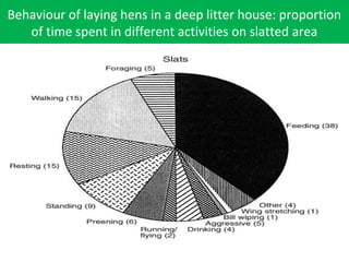 Behaviour of laying hens in a deep litter house: proportion
of time spent in different activities on slatted area
 