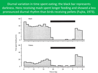 Diurnal variation in time spent eating; the black bar represents
darkness. Hens receiving mash spent longer feeding and showed a less
pronounced diurnal rhythm than birds receiving pellets (Fujita, 1973).
 