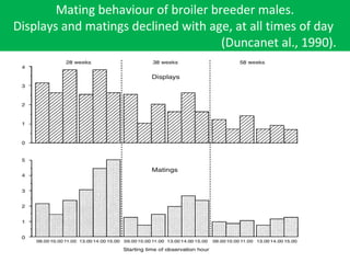 Mating behaviour of broiler breeder males.
Displays and matings declined with age, at all times of day
(Duncanet al., 1990).
 