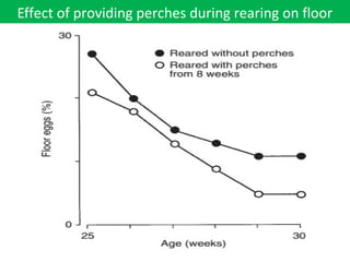 Effect of providing perches during rearing on floor
 