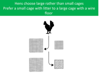 Hens choose large rather than small cages
Prefer a small cage with litter to a large cage with a wire
floor
 