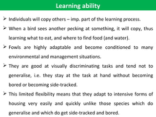 Learning ability
 Individuals will copy others – imp. part of the learning process.
 When a bird sees another pecking at something, it will copy, thus
learning what to eat, and where to find food (and water).
 Fowls are highly adaptable and become conditioned to many
environmental and management situations.
 They are good at visually discriminating tasks and tend not to
generalise, i.e. they stay at the task at hand without becoming
bored or becoming side-tracked.
 This limited flexibility means that they adapt to intensive forms of
housing very easily and quickly unlike those species which do
generalise and which do get side-tracked and bored.
 