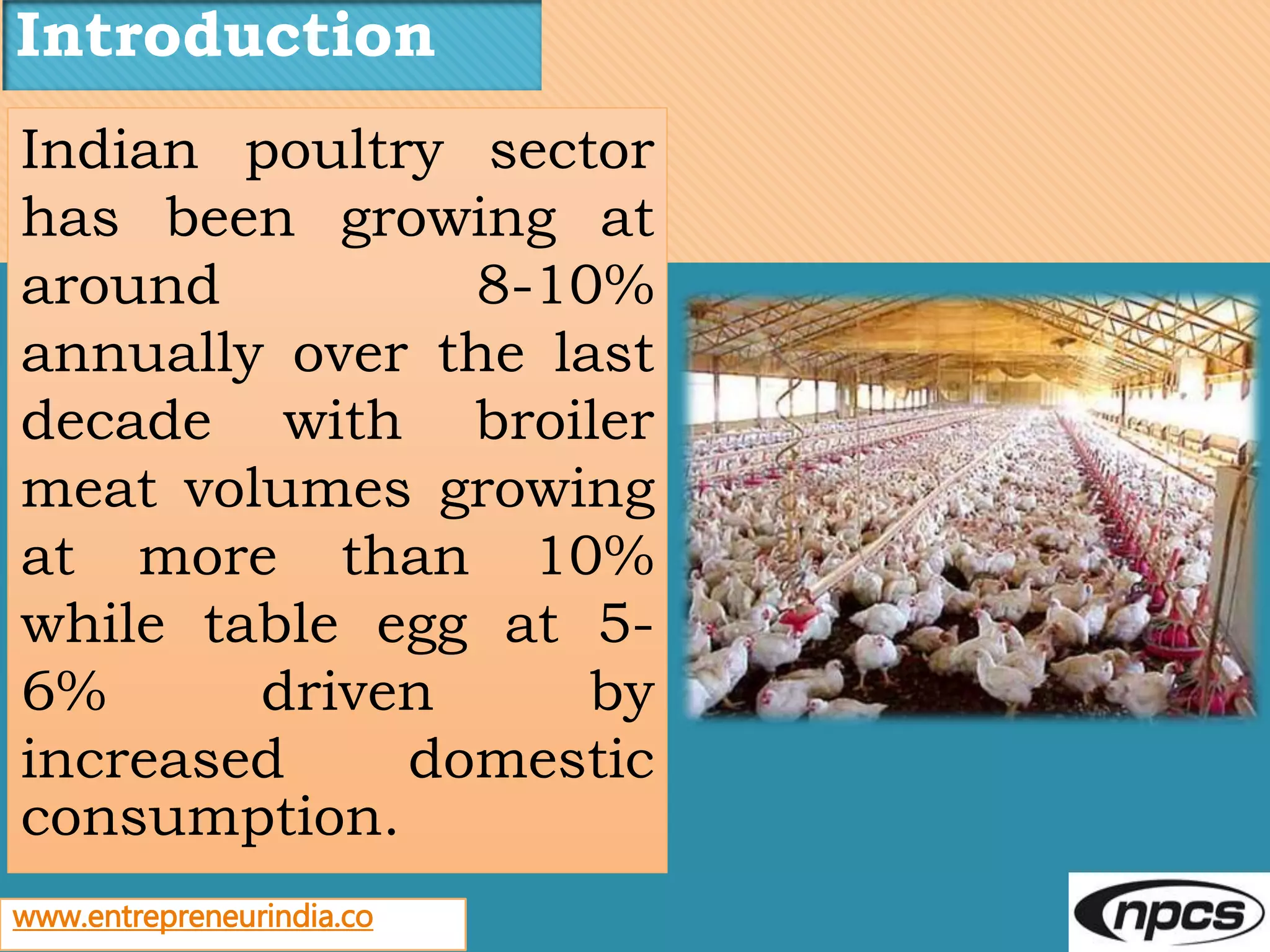 Business Plan For Poultry Broiler Thuthukani Broiler Project – NRGU