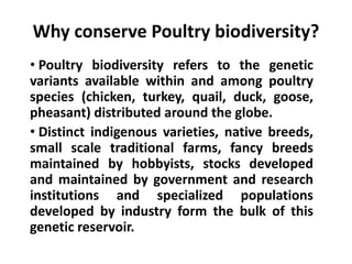 Why conserve Poultry biodiversity?
• Poultry biodiversity refers to the genetic
variants available within and among poultry
species (chicken, turkey, quail, duck, goose,
pheasant) distributed around the globe.
• Distinct indigenous varieties, native breeds,
small scale traditional farms, fancy breeds
maintained by hobbyists, stocks developed
and maintained by government and research
institutions and specialized populations
developed by industry form the bulk of this
genetic reservoir.

 
