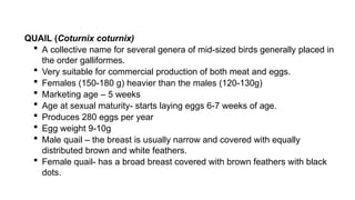 QUAIL (Coturnix coturnix)
 A collective name for several genera of mid-sized birds generally placed in
the order galliformes.
 Very suitable for commercial production of both meat and eggs.
 Females (150-180 g) heavier than the males (120-130g)
 Marketing age – 5 weeks
 Age at sexual maturity- starts laying eggs 6-7 weeks of age.
 Produces 280 eggs per year
 Egg weight 9-10g
 Male quail – the breast is usually narrow and covered with equally
distributed brown and white feathers.
 Female quail- has a broad breast covered with brown feathers with black
dots.
 