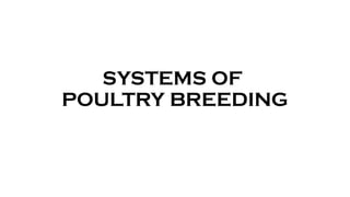 SYSTEMS OF
POULTRY BREEDING
 