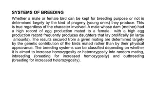 SYSTEMS OF BREEDING
Whether a male or female bird can be kept for breeding purpose or not is
determined largely by the kind of progeny (young ones) they produce. This
is true regardless of the character involved. A male whose dam (mother) had
a high record of egg production mated to a female with a high egg
production record frequently produces daughters that lay prolifically (in large
amounts). The results secured from a given mating are determined largely
by the genetic contribution of the birds mated rather than by their physical
appearance. The breeding systems can be classified depending on whether
it is aimed to increase homozygosity or heterozygosity into random mating,
inbreeding (breeding for increased homozygosity) and outbreeding
(breeding for increased heterozygosity).
 