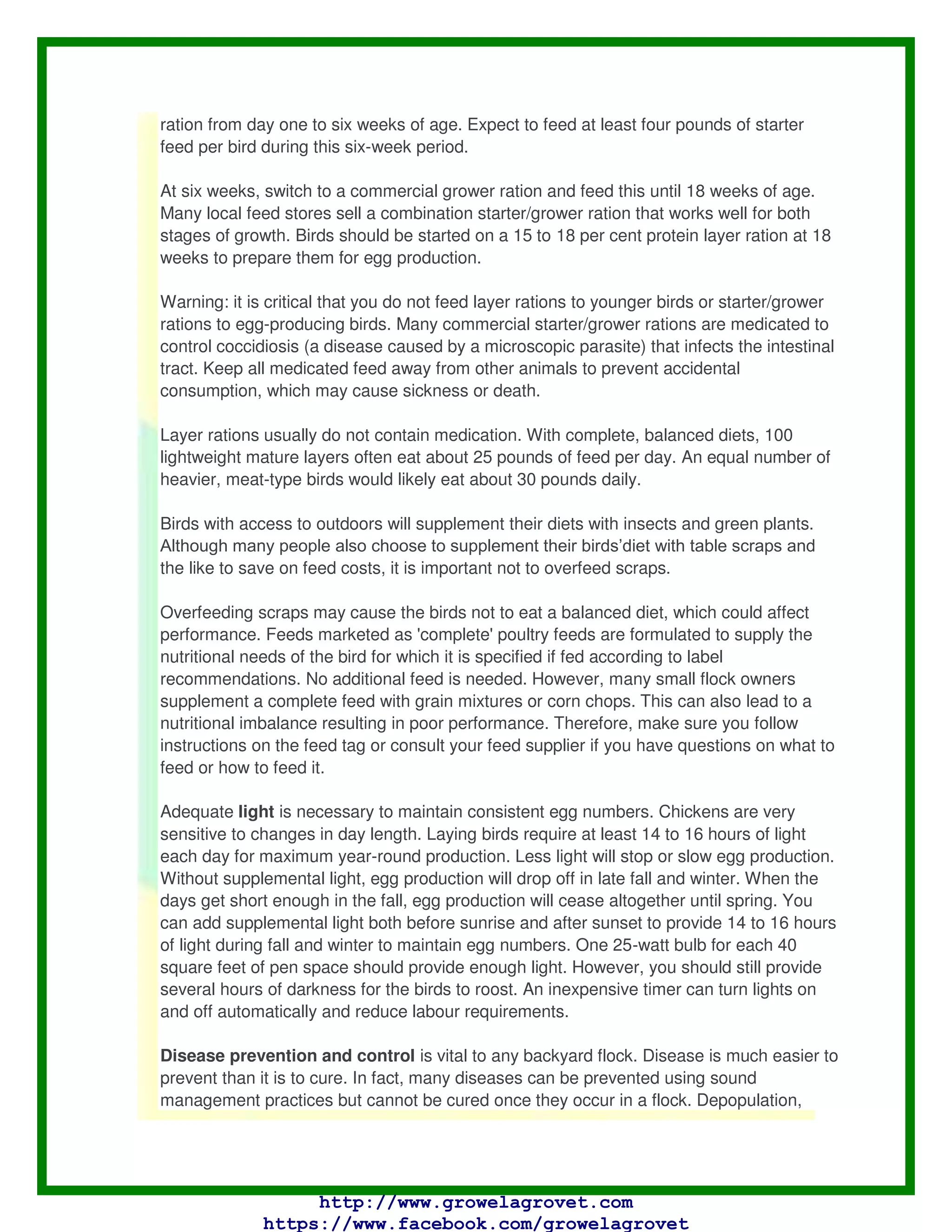 Poultry Business Guide | PDF