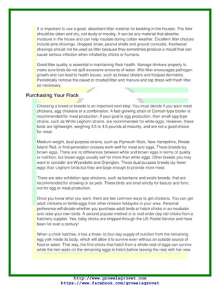 Guide for those thinking of starting their own chicken flock for meat or eggs.
Advice for those thinking of starting their own chicken flock for meat or eggs from
Dr Tom Tabler, Dr Dustan Clark, Jessica Wells, Dr Wei Zhai and Dr Haitham Yakout
with the Mississippi State University Extension Service.
Maintaining a small flock of poultry can be a rewarding experience and is an excellent
venture for a small or part-time farmer. People keep backyard flocks for many reasons –
for meat or eggs, as a hobby for adults or children, or perhaps for show and exhibition.
Backyard poultry can supplement family food supplies, and small producers may choose
to sell their products to several niche markets. These can include brown eggs, free-range
meat and eggs, live birds for the increasing number of ethnic markets, and organic meat
and eggs. Whatever the reason, if you are considering managing a backyard flock, you
must be aware that raising poultry requires time, labour and money.
Birds need care seven days a week, including weekends and holidays. Before you buy
any birds, be sure you are willing and able to give that care. Also, do your homework,
starting with research and planning.
Preparing the Yard
First, check to see if zoning restrictions or property regulations prohibit or restrict raising
poultry on your property. You not only want to be legal but you want to keep peace with
your neighbours as well. In some cases, it would not take much noise, dust, feathers, flies
or odours from your chickens to turn your neighbours un-neighbourly. Discuss your plans
with your neighbors before bringing in the chickens to help prevent future issues.
Do not allow chickens to roam free. Fence in backyard flocks to keep them at home and
to protect them. Many predatory animals, including cats, dogs, skunks, opossums and
hawks, roam free even inside city limits. Chickens are generally considered easy prey.
Fencing should extend all the way to the ground, and the mesh should be small enough
to restrain young chicks. It is wise to cover the top of the enclosure to protect the flock
from flying and climbing predators. Fencing is also a sound biosecurity practice that helps
protect against the spread of disease.
Along with fencing, you should arrange for adequate housing. Remember to allow for
growth of the birds: allot space based on the size of fully-grown birds, not chicks. A good
rule of thumb is to provide 3.0 to 3.5 square feet of floor space for each bird you intend to
put into egg production. For example, you may start with 50 straight-run chicks (a mixture
of males and females) and plan to put 25 into egg production. This leaves 25 available for
meat production and losses along the way. If you allow 3.0 square feet of floor space per
egg layer, that is 75 square feet, making an 8-foot by 10-foot building adequate. Make
sure you can adequately heat the building, especially with young chicks and during colder
weather.
 