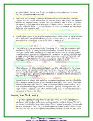 It is important to use a good, absorbent litter material for bedding in the houses. The litter
should be clean and dry, not dusty or mouldy. It can be any material that absorbs
moisture in the house and can help insulate during colder weather. Excellent litter choices
include pine shavings, chopped straw, peanut shells and ground corncobs. Hardwood
shavings should not be used as litter because they sometimes produce a mould that can
cause serious infection when inhaled by chicks or humans.
Good litter quality is essential in maintaining flock health. Manage drinkers properly to
make sure birds do not spill excessive amounts of water. Wet litter encourages pathogen
growth and can lead to health issues, such as breast blisters and footpad dermatitis.
Periodically remove the caked or crusted litter and manure and top dress with fresh litter
as necessary.
Purchasing Your Flock
Choosing a breed or breeds is an important next step. You must decide if you want meat
chickens, egg chickens or a combination. A fast-growing strain of Cornish-type broiler is
recommended for meat production. If your goal is egg production, then small egg-type
strains, such as White Leghorn strains, are recommended for white eggs. However, these
birds are lightweight, weighing 3.5 to 4.0 pounds at maturity, and are not a good choice
for meat.
Medium-weight, dual-purpose strains, such as Plymouth Rock, New Hampshire, Rhode
Island Red, or first-generation crosses work well for meat and eggs. These breeds lay
brown eggs. There are no differences between white and brown eggs in terms of quality
or nutrition, but brown eggs usually sell for more than white eggs. Other breeds you may
want to consider are Wyandotte and Orpington. These dual-purpose breeds lay fewer
eggs than Leghorn birds but they are large enough to provide more meat.
There are also exhibition-type chickens, such as bantams and exotic breeds, that are
recommended for showing or as pets. These birds are bred strictly for beauty and form,
not for egg or meat production.
Once you know what you want, there are two common ways to get chickens. You can get
adult chickens or fertile eggs from other chicken hobbyists in your area. Personal
preference will dictate whether you purchase adult birds or hatch chicks in an incubator
and raise your own birds. A second popular method is to mail order day-old chicks from a
hatchery supplier. Yes, baby chicks are shipped through the US Postal Service and have
been for over a century!
When a chick hatches, it has a three- to four-day supply of nutrition from the remaining
egg yolk inside its body, which will allow it to survive even without an outside source of
food or water. That way, the first chicks that hatch from a whole nest of eggs can survive
while the hen waits on the remaining eggs to hatch before leaving the nest with her new
 