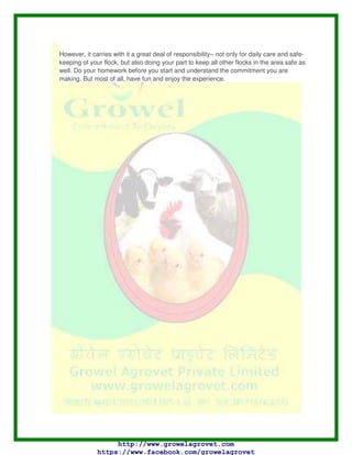 disinfection, sanitisation and starting over are the only ways to fight some diseases.
Disease most often occurs when birds are under stress from one or more factors at the
same time. Numerous stressors can affect a bird's ability to fight off disease, including
poor nutrition, an unclean environment, overcrowding, poor air quality, injury, poor
management practices and poisons. Like other living creatures, chickens do best in a
clean environment. Drinkers should be cleaned every day with diluted chlorine bleach.
You can also add low levels of chlorine bleach to clean drinking water to inhibit bacterial
growth. It does not take much; one to two teaspoons of bleach for 20 gallons of water is
plenty.
Watch for signs of disease that may indicate a problem in your flock. Difficulty with
breathing, gasping for breath, coughing, sneezing, watery eyes, reduced viability,
decrease in egg production and feed consumption, bloody droppings and an increase in
death losses are all indications of disease. Sick birds will often separate themselves from
the rest of the flock, try to hide under something, avoid moving when approached, appear
weak, or have ruffled feathers. If possible, separate the sick birds from the healthy ones
to limit disease spread. Seek reliable assistance if you suspect a disease problem in your
flock. Your local county Extension agent or veterinarian is a good starting point. Poultry
specialists at Mississippi State University (or your state's land-grant university) and
personnel at your state diagnostic laboratory are also valuable sources of information.
Practicing sound biosecurity measures is absolutely critical to disease control and
prevention, especially in states that have a commercial poultry industry. Mississippi is one
of the leading poultry-producing states in the nation, and it is critical that backyard flock
owners take biosecurity just as seriously as commercial growers do. Backyard flocks can
transmit disease to commercial poultry and possibly put an entire industry in jeopardy. If
you own backyard birds, do not visit commercial farms and never enter someone else's
chicken house. Disease organisms are easily carried on shoes and clothing, and by
rodents, birds, insects, and even on the wind.
If you show birds at fairs or exhibitions, quarantine these birds for at least three weeks
before returning them to the main flock. This will allow time for symptoms to develop from
any diseases they may have picked up from birds at the show. Quarantine any new birds
you purchase as well. It is wise not to accept birds from friends or neighbours even if they
are the same type and age as your birds.
Keeping records is additional work but it is a good idea to keep them. Records of sales,
purchases, shows attended, etc. can help pinpoint events that may be associated with a
disease agent. It is impossible to be too careful where disease prevention and biosecurity
are concerned.
Raising backyard poultry can be a rewarding experience. As a family project, it offers the
opportunity for parents and children to spend quality time together and teaches about
other living creatures. It can also provide your family with a source of high-quality food
and possibly some added income.
 