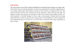 poultry housing and cage_management.pptx