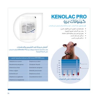34
‫برو‬ ‫كينوالك‬
KENOLAC PRO
• 	.‫ال�ضرع‬‫إلتهاب‬‫ل‬‫امل�سببة‬‫البكترييا‬‫�ضد‬‫للغاية‬‫فعال‬
• 	.‫الطبيعية‬‫الع�ضوية‬‫أحما�ض‬‫ل‬‫ا‬‫على‬‫يعتمد‬
• 	.‫املعاجلة‬‫أبقار‬‫ل‬‫ل‬‫مبثالية‬‫ي�شري‬‫مميز‬‫لون‬‫يعطي‬
• 	.‫للذباب‬‫طارد‬‫مثبت‬‫أثري‬�‫ت‬‫ذو‬
• 	.‫ال�شم�س‬‫من‬‫واقي‬‫أثري‬�‫ت‬‫ذو‬
‫الذباب‬ ‫من‬ ‫يحمى‬ ‫إختراع‬ ‫براءة‬ ‫ذو‬ ‫الحلب‬ ‫بعد‬ ‫مطهر‬ ‫أول‬
.‫والحشرات‬ ‫الشمس‬ ‫ضد‬ ‫حماية‬ ‫أفضل‬
‫للذباب‬ ‫الطاردة‬ )Kenolac Pro( ‫برو‬ ‫كينوالك‬ ‫فاعلية‬ ‫اختبار‬ ‫تم‬ ‫وقد‬
.‫المنزلية‬ ‫الذبابة‬ ‫علي‬
‫الحلمات‬ ‫علي‬ ‫الذبابات‬ ‫عدد‬
‫للذباب‬‫طارد‬‫علي‬‫يحتوي‬‫ال‬ ‫حلمات‬‫مطهر‬
‫للذباب‬‫طارد‬‫علي‬‫يحتوي‬‫حلمات‬‫مطهر‬‫برو‬‫كينوالك‬
 