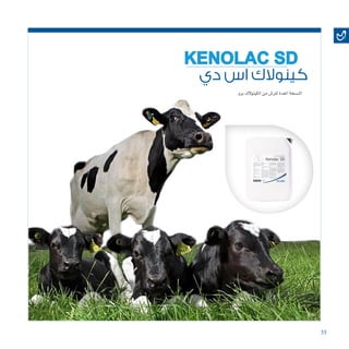 35
‫دي‬ ‫اس‬ ‫كينوالك‬
KENOLAC SD
.‫برو‬‫الكينوالك‬‫من‬‫للر�ش‬‫املعدة‬‫الن�سخة‬
 