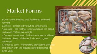 1.Live – alert, healthy, well feathered and well
formed
2.Whole – similar to live but no longer alive
3.Dressed – the feather is removed and the blood
is drained, 70% of live weight
4.Drawn – entrails and feet are removed and blood
is drained; bleed, defeater & visceral organs
removed
5.Ready to cook – completely processed; dressed
and drawn with the giblets stuffed back into the
birds vent,
 