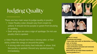 There are two main ways to judge quality in poultry:
• Color Poultry color should vary from cream to
yellow. It should not be purple or green from bruising
or spoiling.
• Dark wing tips are also a sign of spoilage. Do not use
poultry that is spoiled.
2. Odor Poultry should not have a strong odor, or feel
sticky under the wings or around the joints.
• A strong odor and sticky feel indicate, or show, that
the poultry is spoiled. Discard any spoiled poultry
immediately.
Grade A, it must:
• Be plump and meaty.
• Have clean skin with no blemishes, tears,
cuts, or bruises.
• Have no broken bones.
• Have all feathers plucked and removed,
including pinfeathers.
Birds that do not meet these standards
receive grades B or C
 