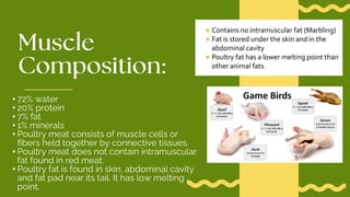 • 72% water
• 20% protein
• 7% fat
• 1% minerals
• Poultry meat consists of muscle cells or
fibers held together by connective tissues.
• Poultry meat does not contain intramuscular
fat found in red meat.
• Poultry fat is found in skin, abdominal cavity
and fat pad near its tail. It has low melting
point.
 