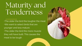 •The older the bird the tougher the meat
•We want to select birds that are
younger and less mature.
•The older the bird the more muscle
they will have built. This causes the
meat to be tough.
 