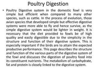 Poultry Digestion
• Poultry Digestive system in the domestic fowl is very
simple but efficient when compared to many other
species, such as cattle. In the process of evolution, those
avian species that developed simple but effective digestive
systems were more able to fly and hence survive, as the
simple digestive system would be lighter in weight. It is
necessary that the diet provided to fowls be of high
quality and easily digestible due to the simplicity in the
structure and function of their digestive system. This is
especially important if the birds are to attain the expected
productive performance. This page describes the structure
and function of the various parts of the digestive system of
the fowl and discusses the digestion of poultry food into
its constituent nutrients. The metabolism of carbohydrate,
fat and protein is closely linked to the digestive system.
 