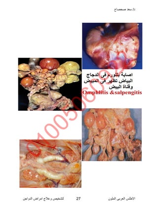 Poultry disease arabic color atlas | PDF
