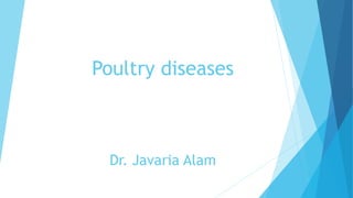 Poultry diseases
Dr. Javaria Alam
 