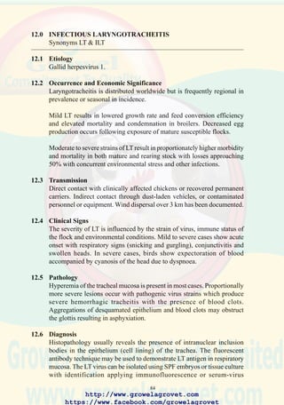 86
68. Caseous cast in the
proximal trachea adjacent
to the glottis is
characteristic of
laryngotracheitis but should
be differentiated from
diphtheritic pox infection
and avian influenza.
(Courtesy of Dr. D. N.
Tripathy, AAAP slide set)
69. Severe hemorrhagic
tracheitis characteristic of
infectious laryngotracheitis.
70. Tracheitis which may be
due to a range of viral
agents including
laryngotracheitis, infectious
bronchitis, avian influenza
Newcastle disease or
adenovirus. Specific
laboratory procedures are
required to establish a
diagnosis.
http://www.growelagrovet.com
https://www.facebook.com/growelagrovet
 
