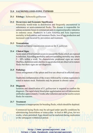 116
22.0 SALMONELLOSIS-PARATYPHOID
22.1 Etiology
Salmonella spp other than S. pullorum and S. gallinarum.
22.2 Occurrence
A world-wide problem in integrated commercial-egg and broiler operations
and also on small-scale farms.
22.3 Economic Significance
Some Salmonella spp including S. enteritidis, phage type 4, may result in
high chick mortality consistent with S. Pullorum infection. Generally
paratyphoid Salmonella spp will result in up to 3% losses during the first
14 days. Paratyphoid Salmonella spp are responsible for food-borne
infection in consumers of eggs (S. Enteritidis) and poultry meat (S.
typhimurium, S. agona, S. heidelberg and possibly up to 50 other frequently
encountered serotypes).
22.4 Transmission
S. enteritidis is transmitted vertically by the trans-ovarial and trans-
oviductal routes. Other Salmonella spp may be transmitted mechanically
by fecal contamination of egg shells, or in cases of immunosuppressed
flocks, infrequently by the transovarial route.
Feed containing contaminated ingredients of animal-origin is often
responsible for introduction of paratyphoid salmonellosis into integrations
or entire countries. The condition can be perpetuated by recycling
contaminated by-product meal from infected broilers and commercial
laying flocks.
Rodents and litter beetles serve as reservoirs of infection. Paratyphoid
salmonellosis can be introduced by contaminated equipment, personnel
and wild birds.
22.5 Clinical Signs
Elevated chick mortality and unevenness in brooding flocks are observed.
No specific signs are associated with paratyphoid infection in mature
flocks. Vertically transmitted S. enteritidis pt 4 infection resembles
pullorum disease in chicks.
22.6 Pathology
Acute cases show enlargement of the spleen and liver and occasionally
enteritis and peritonitis. Chicks may show omphalitis.
http://www.growelagrovet.com
https://www.facebook.com/growelagrovet
 