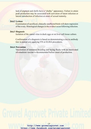 130
27.0 RUNTING SYNDROME
synonyms Malabsorption; Infectious Stunting Syndrome
27.1 Etiology:
The specific causal agents responsible for Stunting Syndrome have not
been identified, although most poultry health professionals accept that
specific reovirus strains (including 1733) are responsible for the condition,
possibly in association with as yet unidentified viruses or anaerobic bacteria
in the intestinal tract. It is noted that the condition can be reproduced by
infecting specific-pathogen free chicks with intestinal homogenates from
affected birds. It is not possible to reproduce the typical stunting syndrome
by administering reovirus isolates from field cases, suggesting a multi-
factorial etiology.
27.2 Occurrence and Economic Significance
The condition has been diagnosed in most broiler-raising areas and is
responsible for decreased growth rate and elevated mortality in broiler
chicks usually derived from young parent flocks. The severity and
prevalence of the condition generally abates within 1 to 2 years after initial
appearance in an area.
27.3 Transmission
The reovirus presumed to be responsible for the condition is transmitted
by the vertical route from infected hens to progeny in addition to lateral
infection among broiler chicks. It is known that reovirus infection can
remain latent in replacement pullets during the rearing stage with viremia
appearing at the onset of production and persisting for approximately 4 to
6 weeks thereafter.
27.4 Clinical Signs
Affected chicks show decreased growth rate which is evident by the 5th
to 7th day of brooding. Feather abnormalities are obvious in affected chicks
and include breakage of the shafts of the primary feathers of the wings
and persistence of yellow down on the head, through 30 days of age.
Abnormal wing feathering gives rise to the term “helicopter disease” since
the abnormal feathers resemble rotor blades. By 4 weeks of age, affected
chicks which may comprise up to 25% of the flock may weigh only 250 g
and are less than half the size of normal pen mates. Examination of the
orange-colored, loose droppings from infected birds shows the presence
of undigested grain particles. A high proportion of affected birds show a
disinclination to walk due to a rickets-like syndrome characterized by
osteopenia. In extreme cases fracture of the proximal epiphysis of the
http://www.growelagrovet.com
https://www.facebook.com/growelagrovet
 
